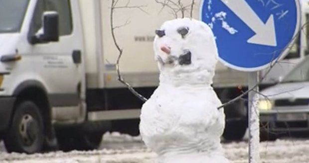 Sněhulák na pražské Floře odolával několik hodin