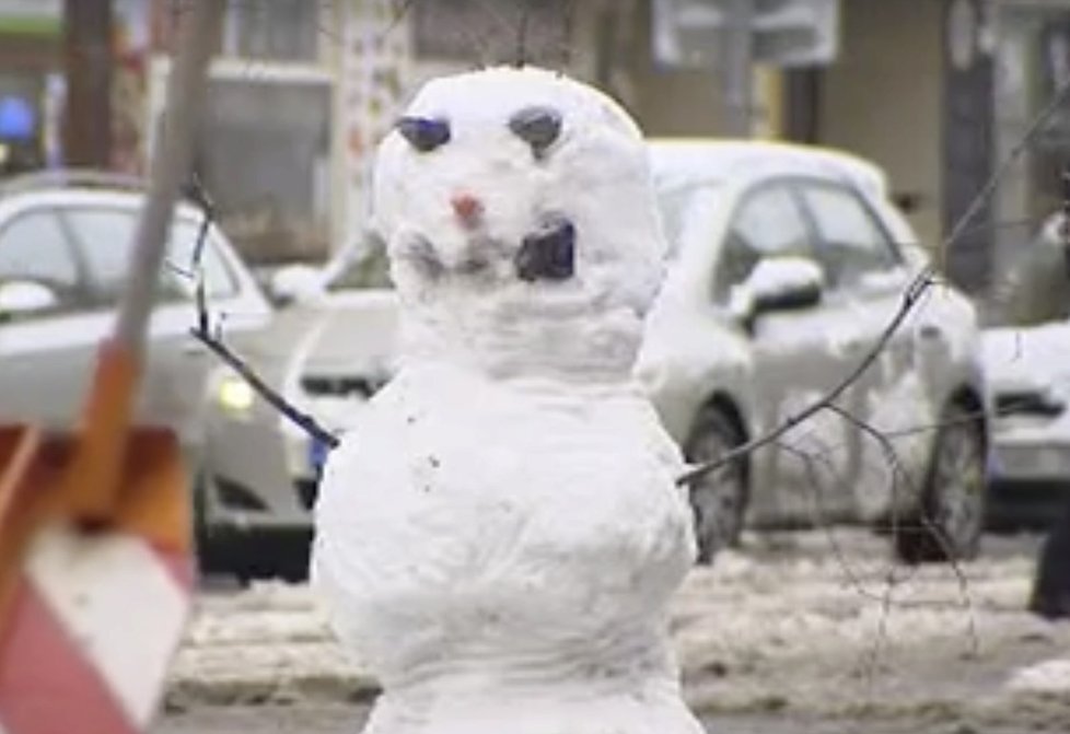 Sněhulák na pražské Floře odolával několik hodin