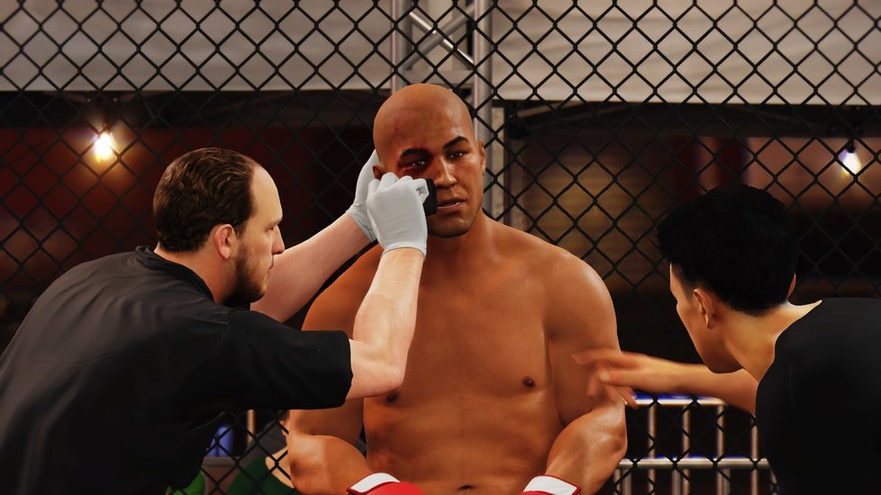 UFC 4 pro PlayStation 4.