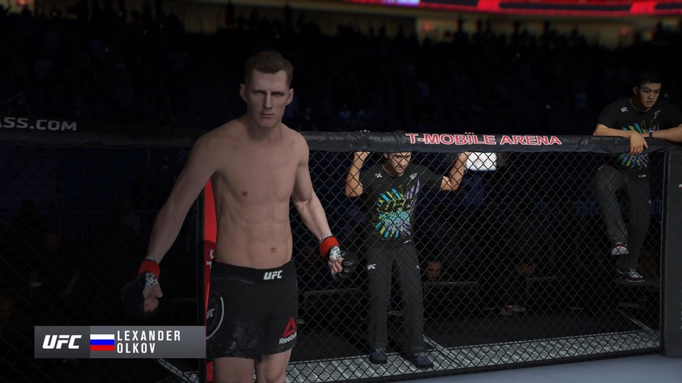 UFC 4 pro PlayStation 4.