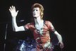 David Bowie je sám vtělením mimozemského organismu...Alespoň kdysi byl