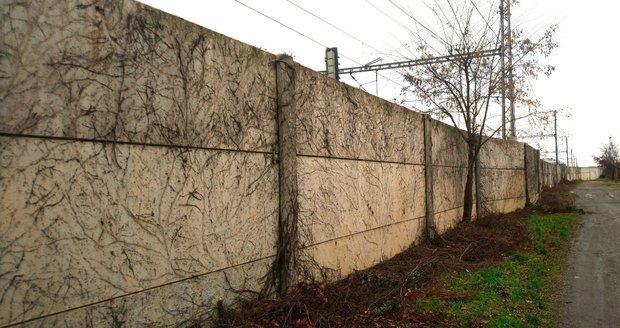 Ještě koncem loňského roku byla tato zeď obrostlá popínavou zelení. Zkraje ledna ji „nedopatřením“ oholili pracovníci Správy železnic, kteří mají na starosti zeleň na železnicích.