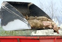 ´Farmář zdechlin´ měl obrovské dluhy