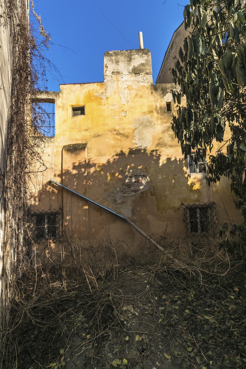 Ke dvorku, na kterém stojí ateliér Hany Wichterlové, přiléhá jedna z nejstarších budov Malé Strany.