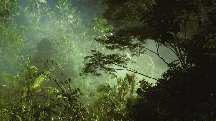 Národní park Ujung Kulon