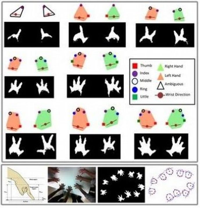 Ukázka snímacích možností vyvinutého prototypu; rozlišit lze ruce i jednotlivé prsty. Zdroj: Purdue University