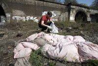 Tisíce lidí uklízí Česko: Pryč s pneumatikami vyhozenými do lesů i potoků