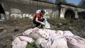 Dobrovolníci uklízí odpadky v rámci akce Ukliďme svět, ukliďme Česko (6.4.2019)