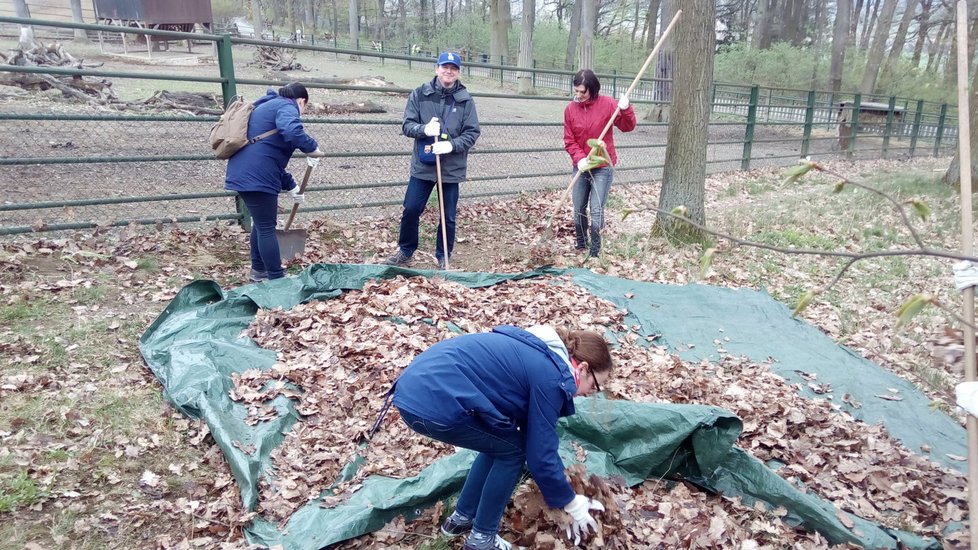 Přibližně 50 dobrovnolníků se v sobotu 8. dubna zapojilo do úklidu brněnské zoo, převažovali mladí lidé.