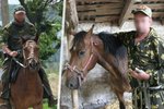 Baškirský kůň údajně nasazený na Ukrajině