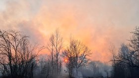 V okolí Černobylu zuří požáry, jeden se podařilo uhasit, další se rozhořel, (8. 4. 2020).