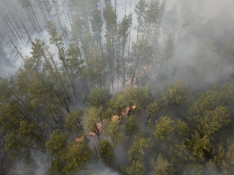 V okolí Černobylu zuří požáry, jeden se podařilo uhasit, další se rozhořel, (8. 4. 2020).