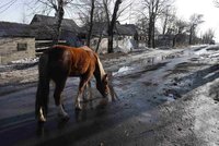 Policistu přivázali za koně: 13 kilometrů ho na Ukrajině vláčeli… A uvláčeli k smrti!