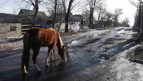 Kůň na silnici u ukrajinského Debalceve