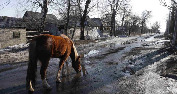 Kůň na silnici u ukrajinského Debalceve
