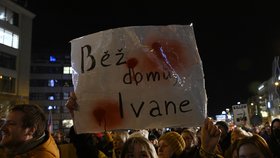 Demonstrace na Václaváku za Ukrajinu.