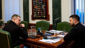 Odvolaný ukrajinský ministr obrany Fedorov s prezidentem Zelenským