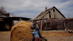 Ukrajinu zasáhla kvůli ruské invazi i obilná krize