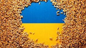 Ukrajinské obilí (ilustrační foto)