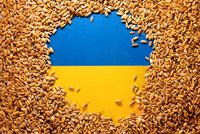 Unijní zemědělci slaví malé vítězství: Státy EU přidají omezení pro ukrajinský vývoz