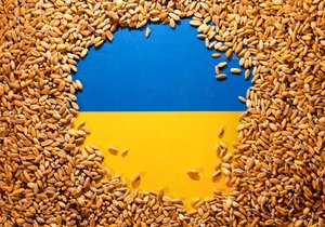 Ukrajinské obilí (ilustrační foto)