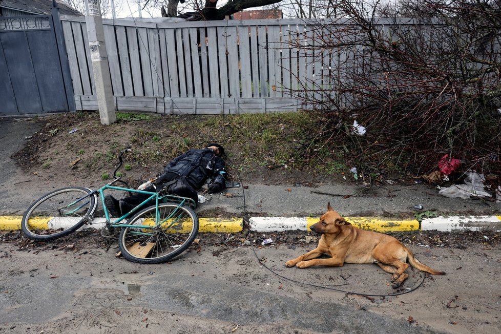 Psi v ukrajinské Buče odmítají opustit těla svých pánů.