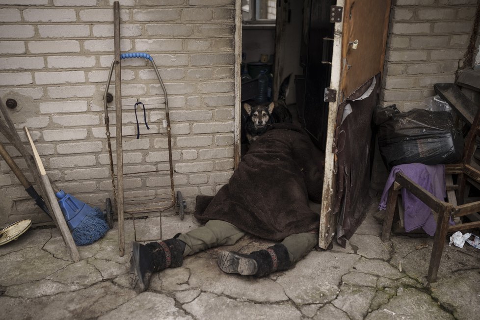 Psi v ukrajinské Buče odmítají opustit těla svých pánů.