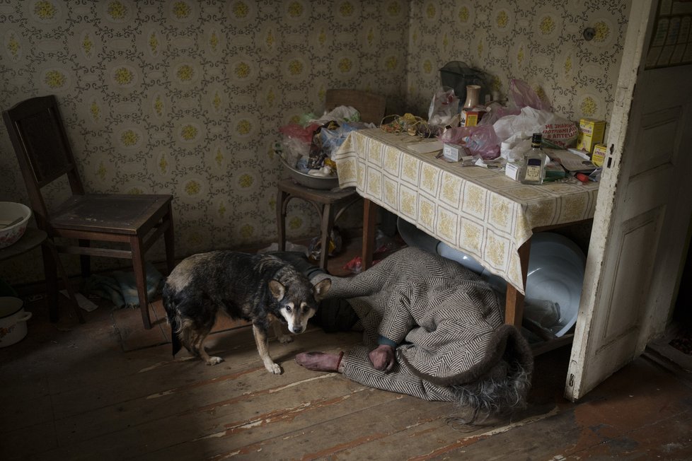 Psi v ukrajinské Buči odmítají opustit těla svých pánů.