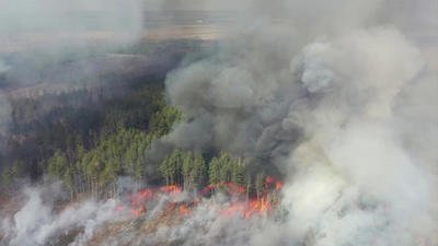 Podle ukrajinských úřadů prý elektrárně žádné nebezpečí nehrozí...