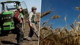 Ukrajina přemýšlí, jak exportovat pšenici, když má zavřené přístavy.