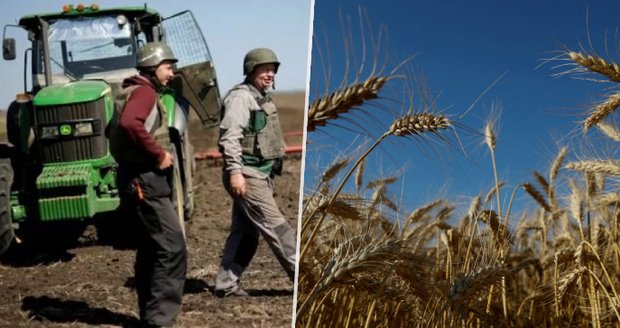 Zlevní konečně chleba? Ukrajina hledá cesty, jak vyvézt pšenici, která jí „trčí“ v přístavech