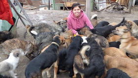 Na Ukrajině trpí i zvířata! Psí útulek v Dnětropetrovsku shání pomoc, potřebuje léky