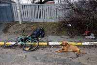 ONLINE: Zvěrstva z Buči dál šokují, Evropa přitvrdí v sankcích. A Rusové se soustředí na východ