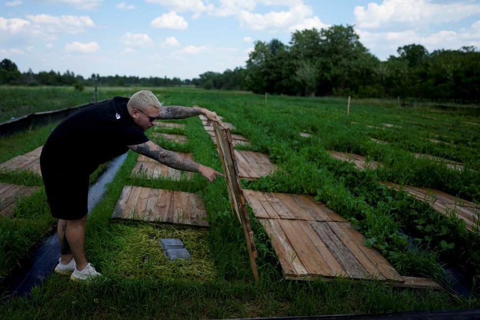 Ukrajinská farmářka Olena Avramenková se v době ruské invaze utěšuje svými hlemýždi.
