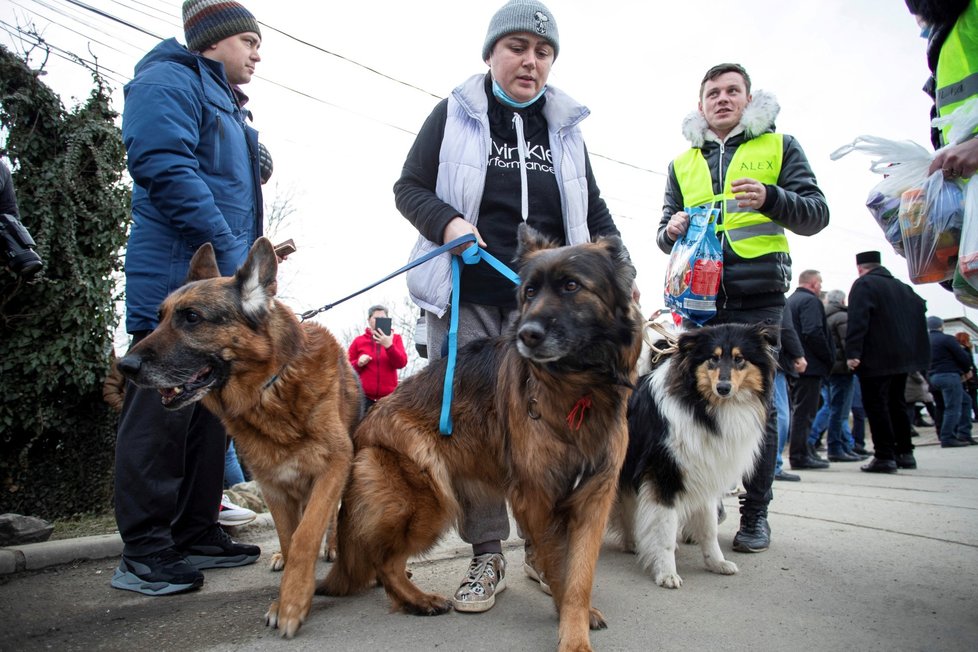 Lidé utíkající před válkou mohou vzít do Česka i mazlíčky.