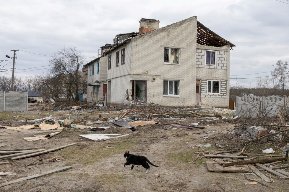 Zdevastovaná vesnice Jehidne nedaleko Černihivu. (8.4.2022)