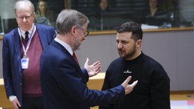 Summit v Bruselu: Volodymyr Zelenskyj s českým premiérem Petrem Fialou.