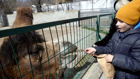 Lidé v Oděse ve znovuotevřené zoo. (26.3.2022)