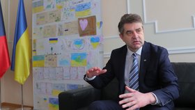 Dnes již bývalý ukrajinský velvyslanec v Česku Jevhen Perebyjnis