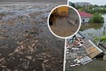 Nejhorší environmentální katastrofa v Evropě od Černobylu. To je zkáza přehrady Nova Kachovka