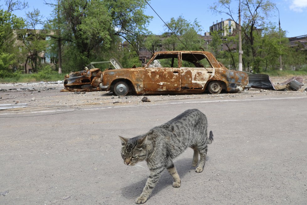 Válka na Ukrajině: Mariupol, 18.05.2022.