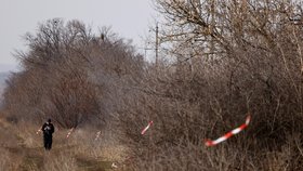 Válka na Ukrajině: V okolí Korového Jaru probíhá odminování oblasti. (20. 03. 2023)