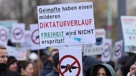 Proruská demonstrace v Kolíně nad Rýnem.
