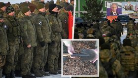 Ruská „kvalitní“ výzbroj? Podle Britů ruští rezervisté v soubojích s Ukrajinci používají i lopatky