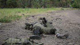Válka na Ukrajině: Osvobození vsi Storožove (14.06.2023)