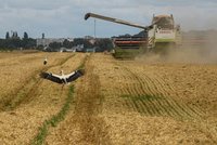 Rusko kývlo na prodloužení dohody o vývozu obilí na 60 dní. Podle OSN se však stále jedná