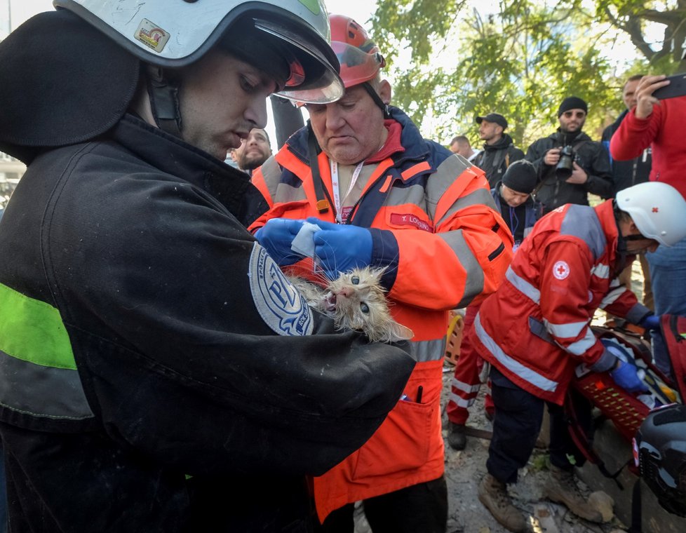 Záchranáři po ostřelování Kyjeva pomáhají kočce.