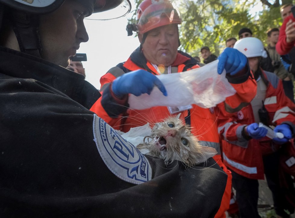 Záchranáři po ostřelování Kyjeva pomáhají kočce.