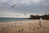 Po Černém moři se pohybují miny od Oděsy! Hlaste podezřelé věci na pláži, žádají Bulhaři