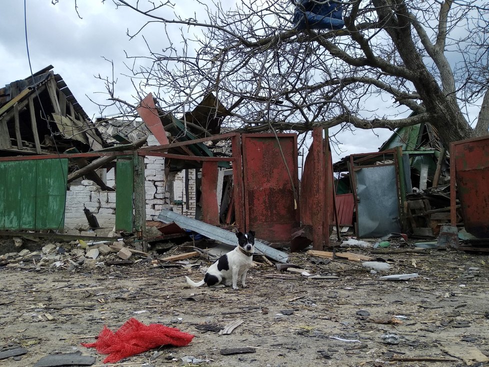 Válečné škody v kyjevské oblasti.